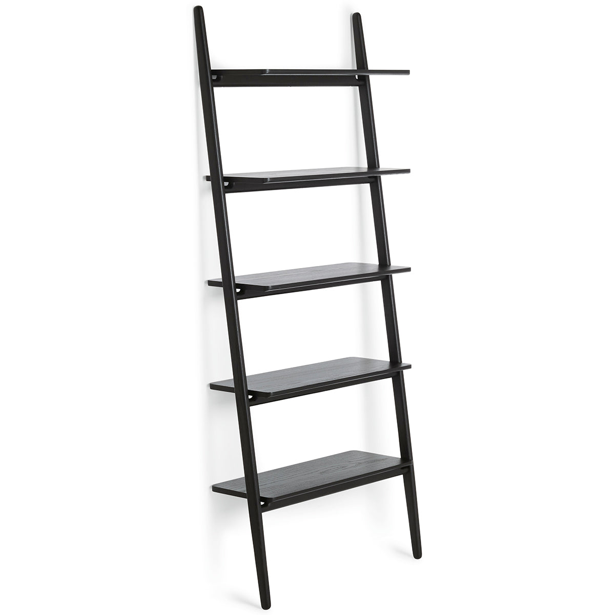 Folk Ladder Shelving