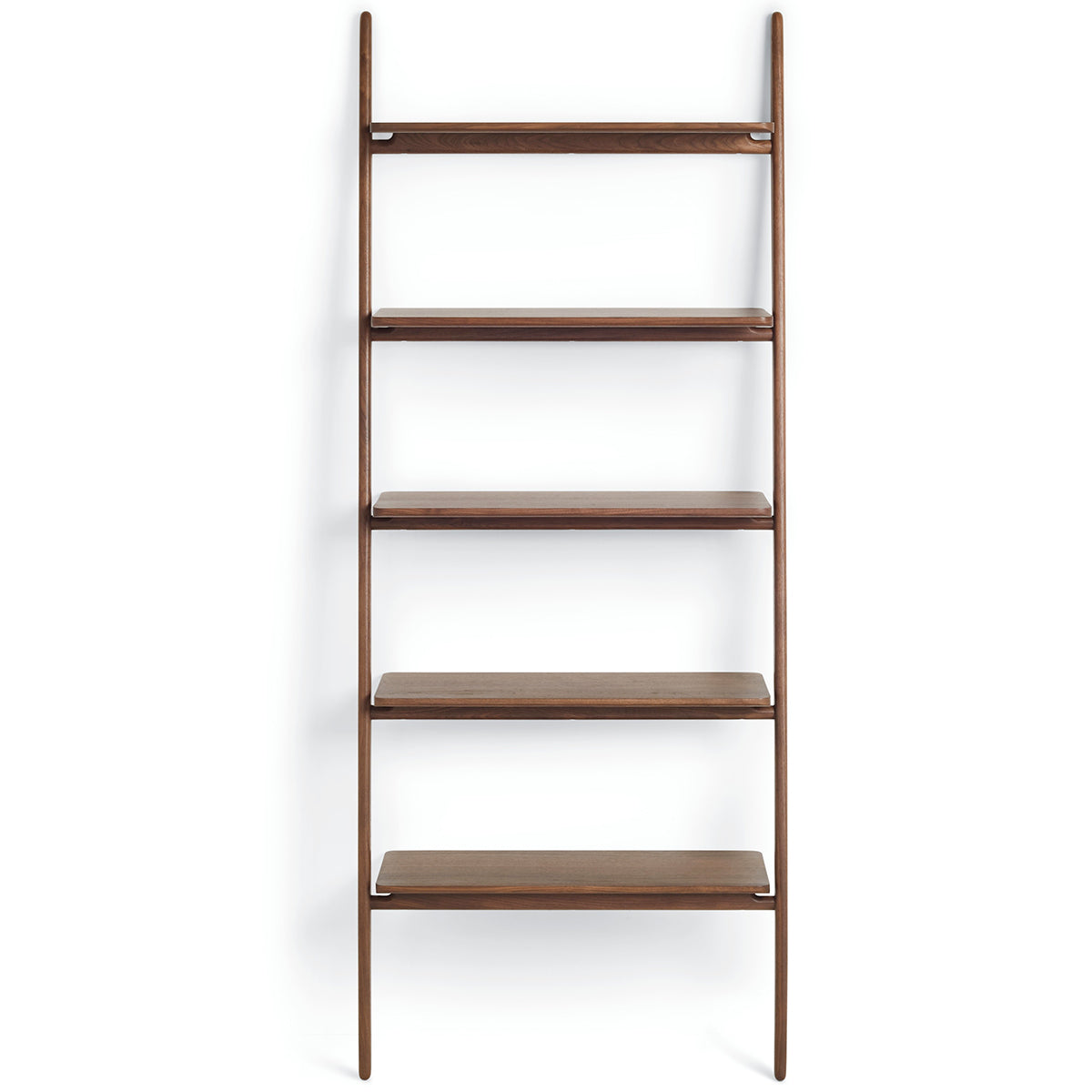 Folk Ladder Shelving