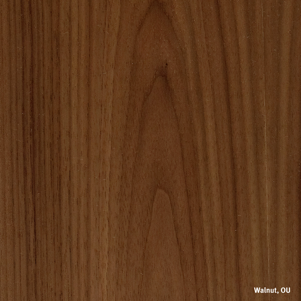 Herman Miller Eames Plastic Shell Armchair Chair Rocker Base イームズプラスチックシェルアームチェア ロッカーベース