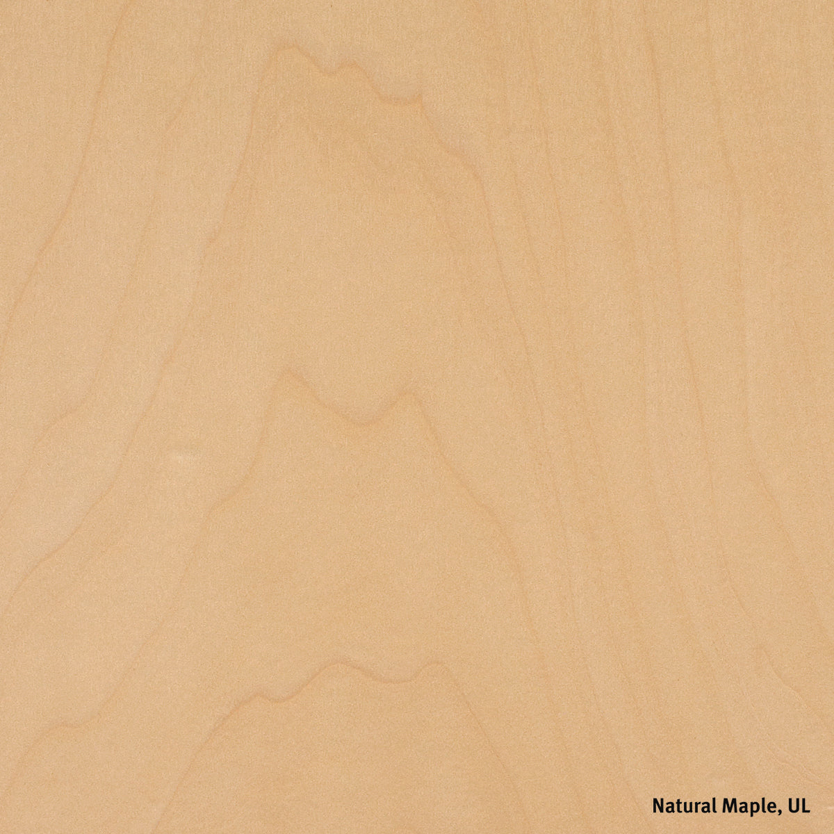 Herman Miller Eames Plastic Shell Armchair Chair Rocker Base イームズプラスチックシェルアームチェア ロッカーベース