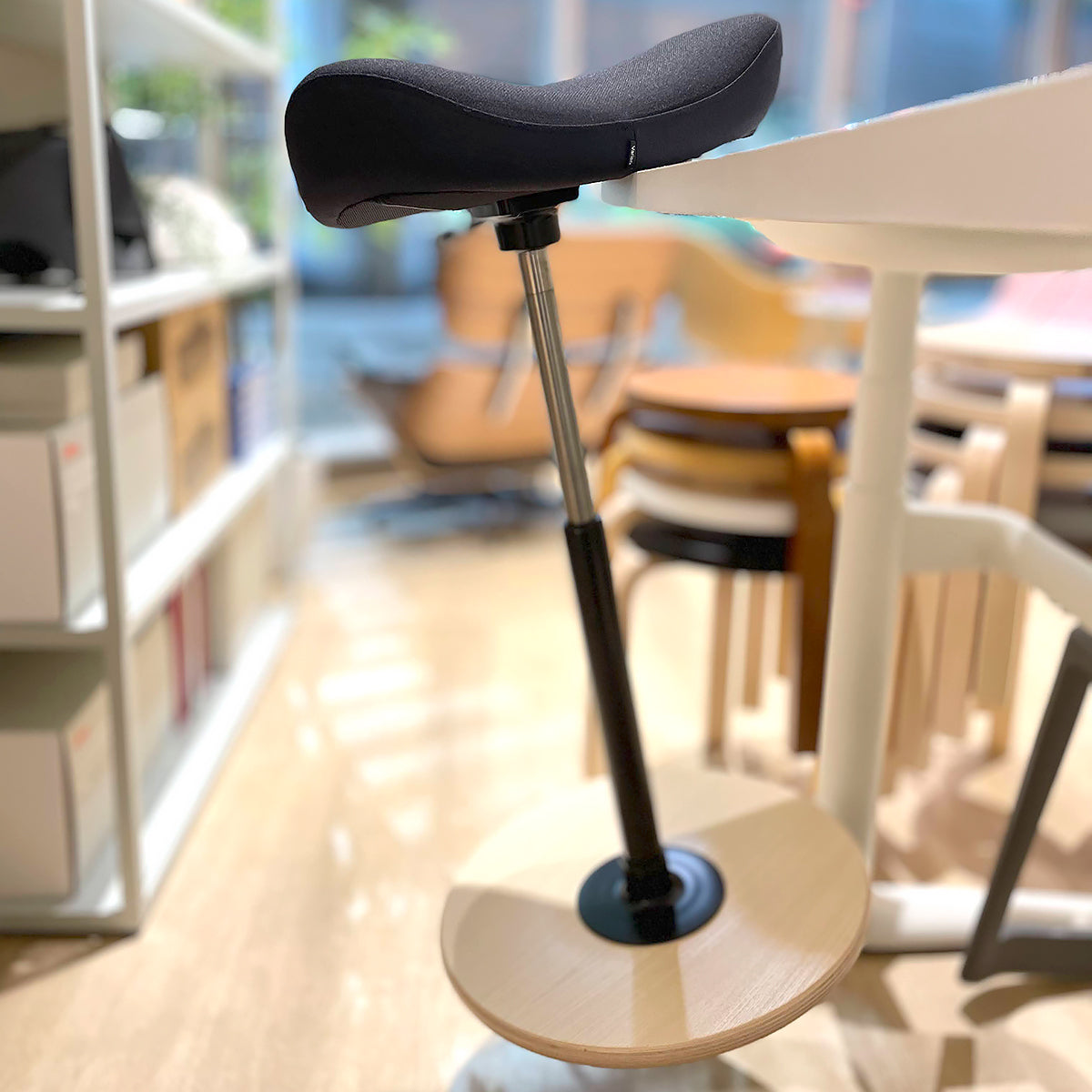 VARIER MOVE バリエール ムーブ