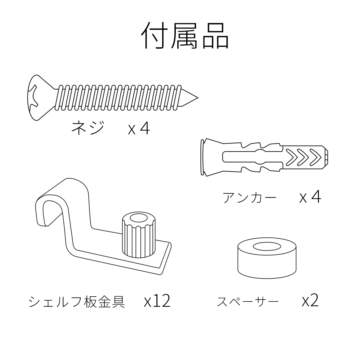 String Pocket ストリング ポケット