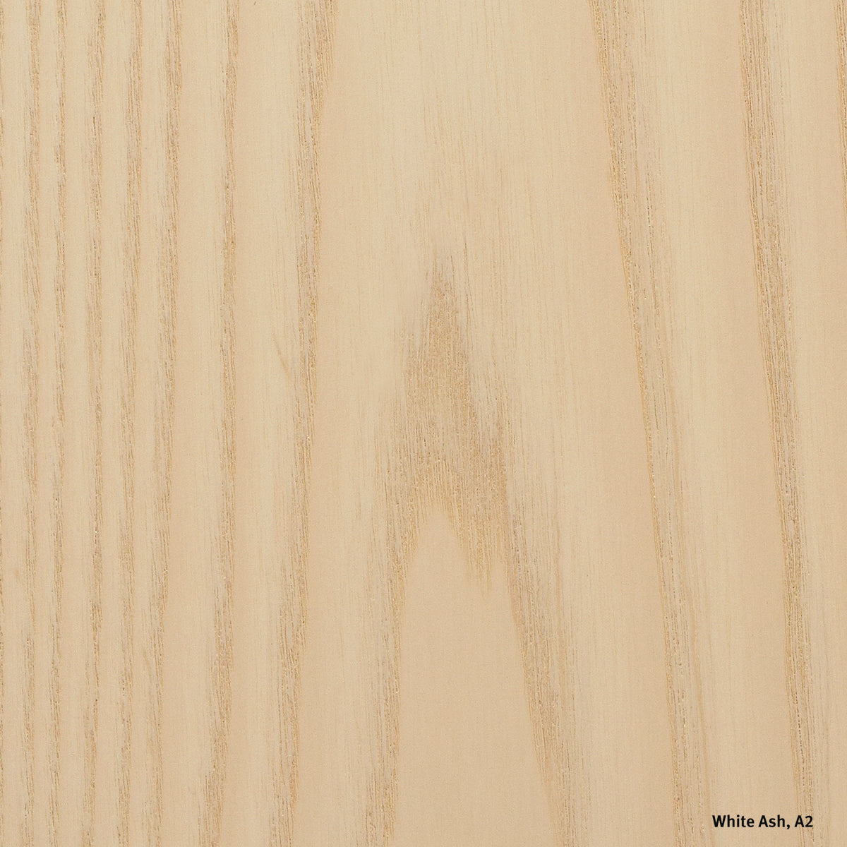 Herman Miller Eames Plastic Shell Armchair Chair Rocker Base　イームズプラスチックシェルアームチェア ロッカーベース