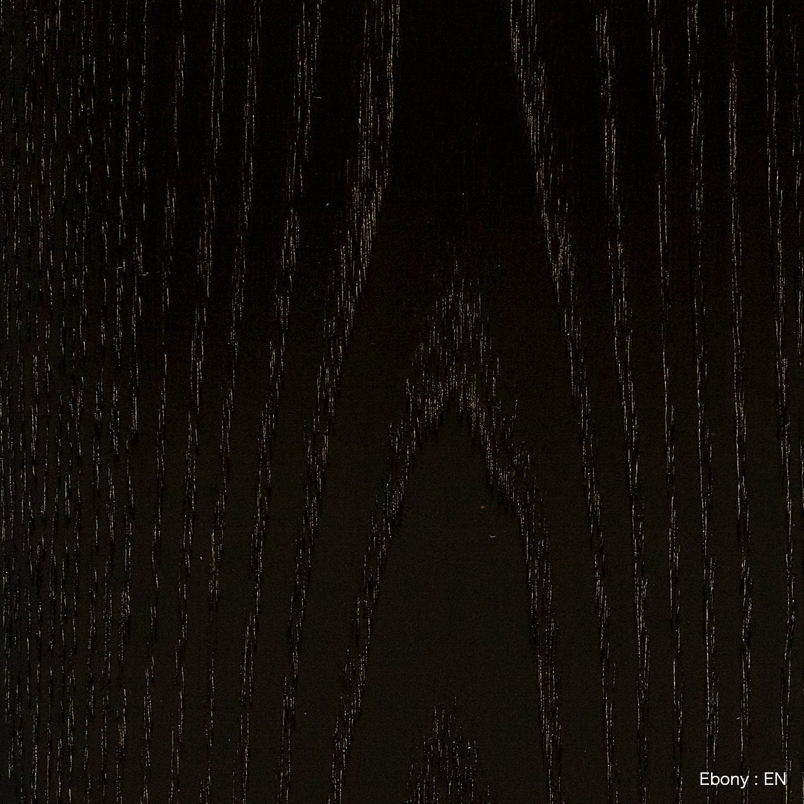 Herman Miller Eames Lounge Chair and Ottoman イームズラウンジチェア＆オットマン Graphite Lather