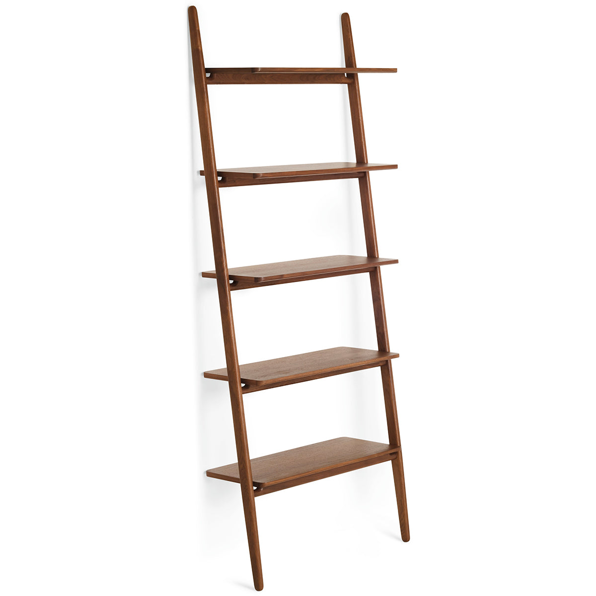 Folk Ladder Shelving