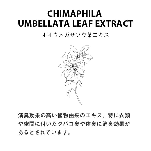 FRAGRANCE CAFE  フレグランスカフェ